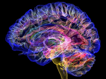 国产69av大脑植入物有助于严重头部损伤恢复